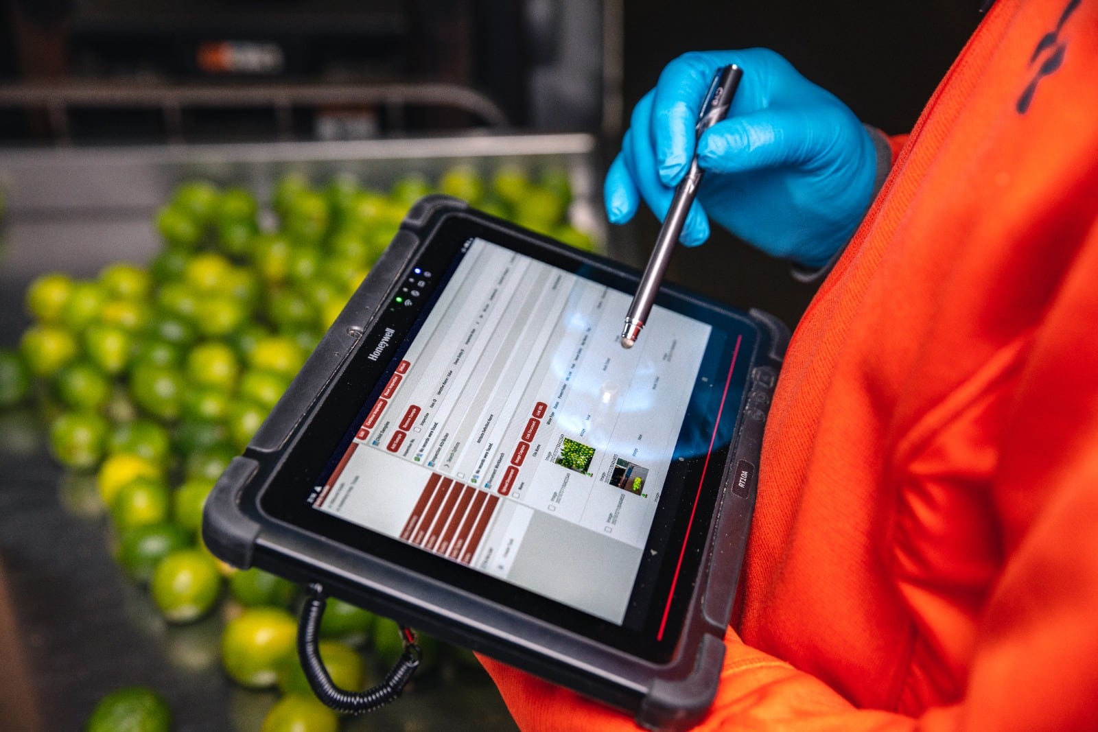 Pracownik chłodni wprowadza dane rysikiem na tablecie Honeywell RT10 podczas kontroli towaru